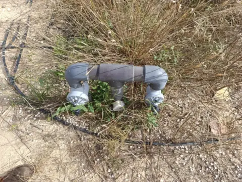 Finca rústica en Venta en Matola-La Foia-Las Bayas-La Marina