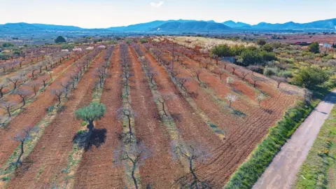 Terreno en Venta en Vall d'Alba