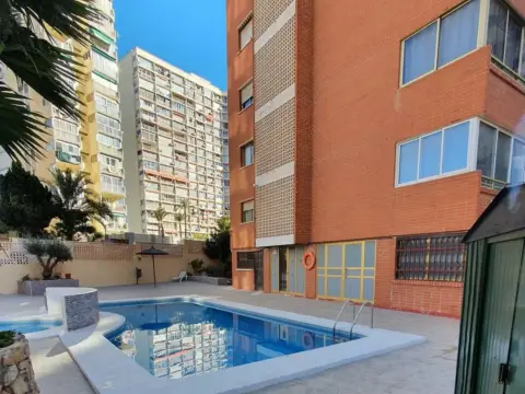 Local comercial en Rincon de Loix Alto