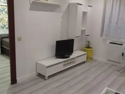 Estudio en Universidad-Los Lirios