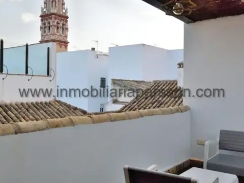 Estudio en Centro