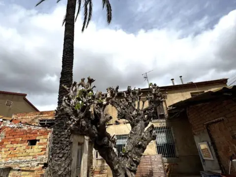 Casa en El Esparragal