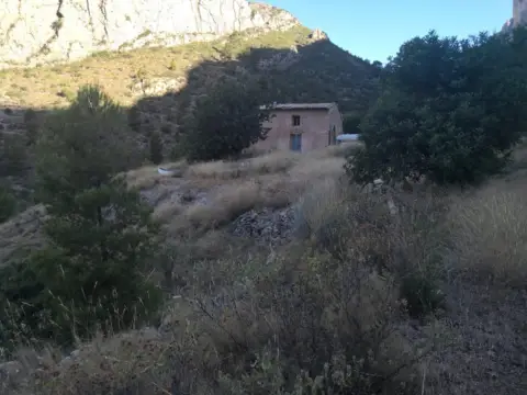 Terreno en Partida La Gralla