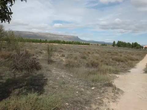 Terreno en Almansa
