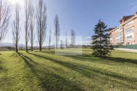 Piso en calle del Monte Campamento