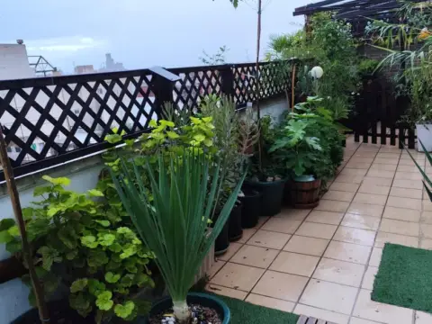 Piso en calle Saint Medard, 2