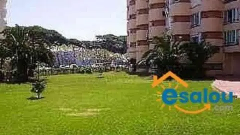 Estudio en Playa Centro