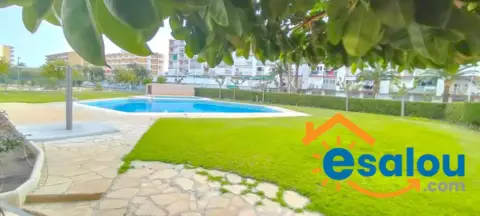 Estudio en Porta del Mar