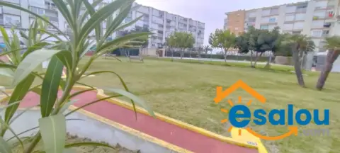 Estudio en Porta del Mar