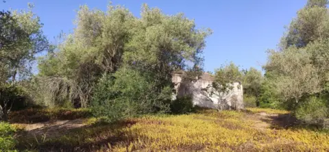 Finca rústica en Pda. Pins