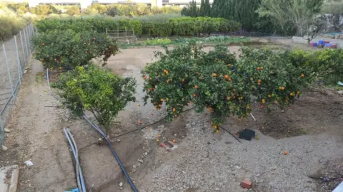 Finca rústica en Centro