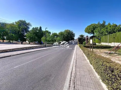 Terreno en calle Banda de Música de Lucena