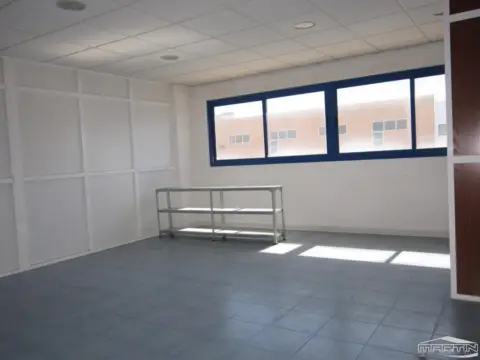 Nave industrial en Pilar de La Dehesa