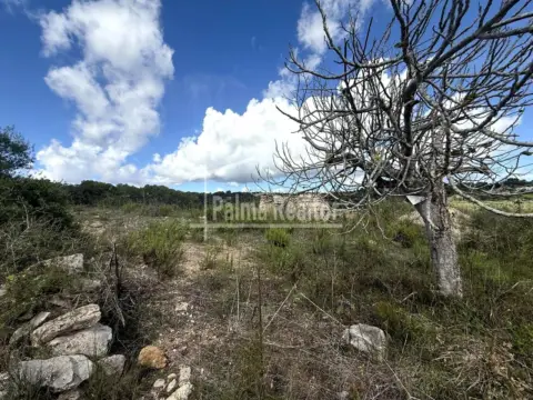Finca rústica en Son Servera