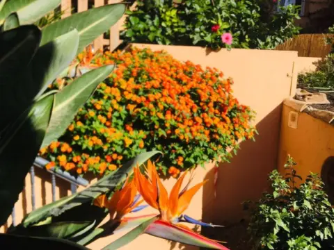 Apartamento en Riviera del Sol