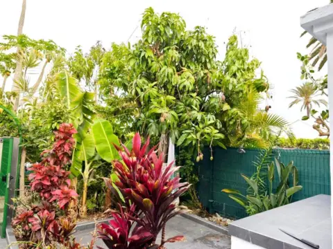 Casa en Avenida Touroperador Thomson Hol.