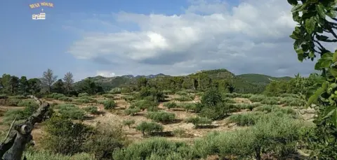Finca rústica en Masia