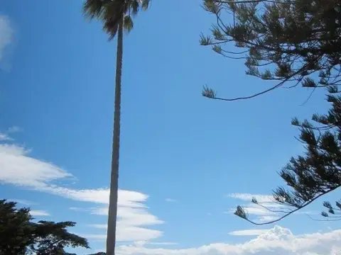 Casa en calle Mulhacén