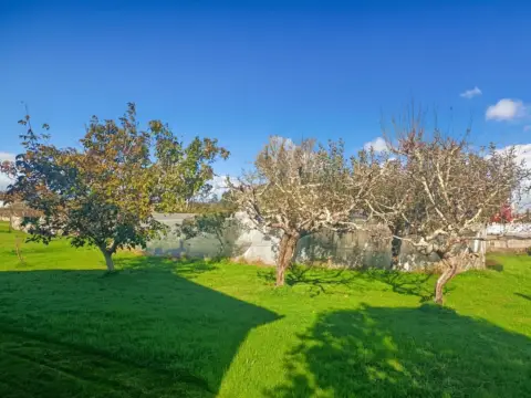 Casa adosada en calle de la Paz
