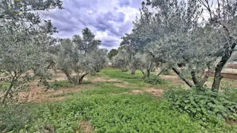 Terreno en calle del Cabo de Palos