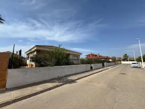 Pis – Cartagena