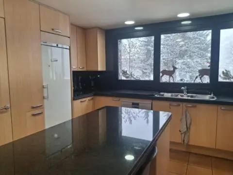 Chalet 4 chambres à vendre à Ordino · 21 sur 60