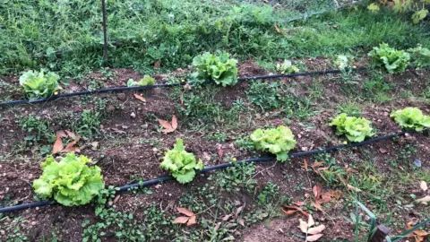 Chalet en Camino del Guindo