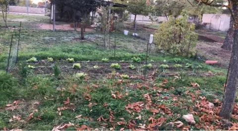 Chalet en Camino del Guindo