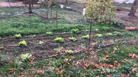 Chalet en Camino del Guindo