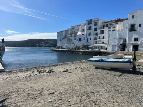Piso en Avinguda de Caritat Serinyana