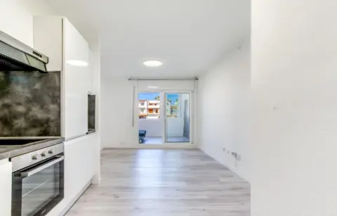 Estudio en Carrer del Poblat Típic