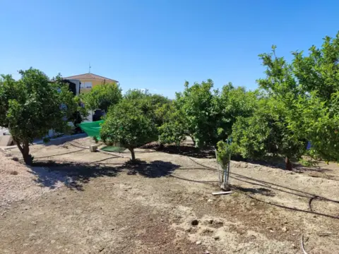 Terreno en Polígono Industrial La Serreta