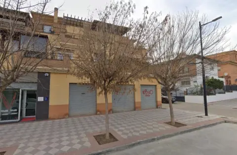 Local comercial en Paseo de la Redonda