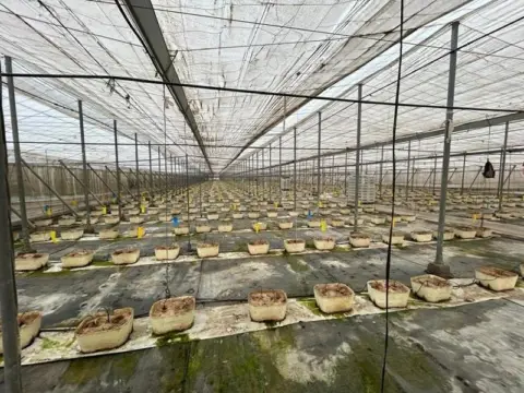 Terreno en calle Motril