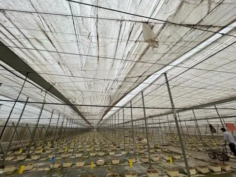 Terreno en calle Motril