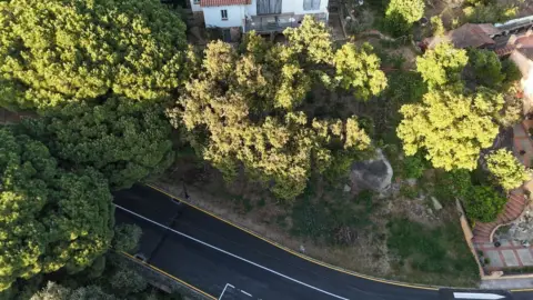 Terreno en Avinguda de les Mimoses
