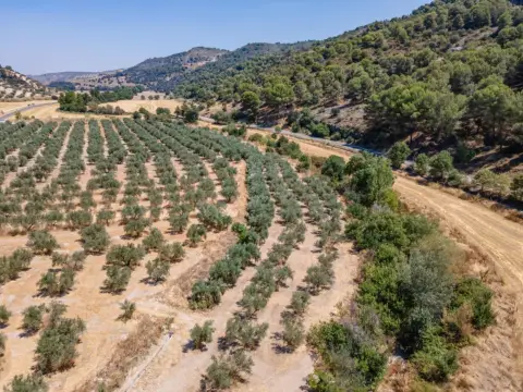 Terreno en Nacimiento