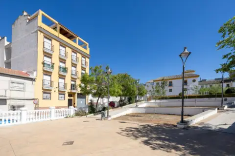 Piso en Paseo de Santa Ana