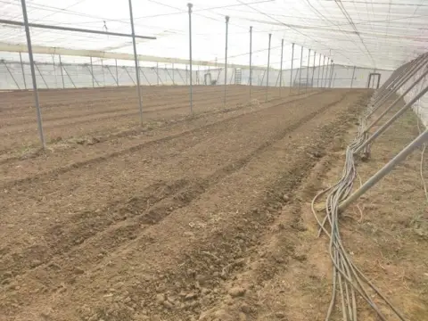 Terreno en Carretera de Chipiona