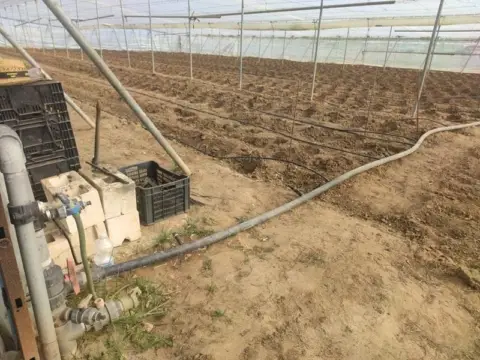 Terreno en Carretera de Chipiona