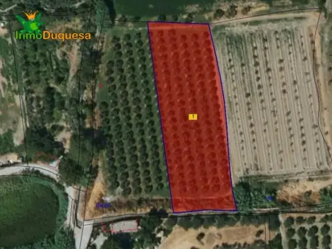 Finca rústica en calle Pre Ramal del Molino, nº Pol.3 Par