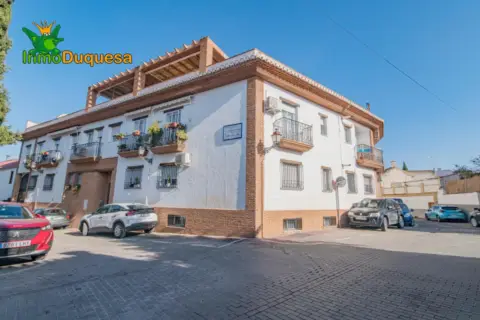 Piso en calle Presbitero Pedro Ruiz De