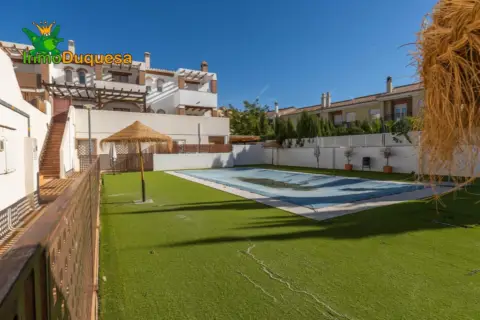 Casa