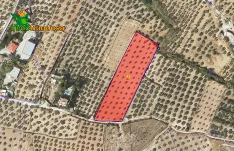 Finca rústica en Sierra de Huetor y La Alfaguara