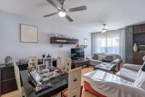 Piso