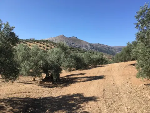 Finca rústica en Polígono - Alrededores - Pedanías