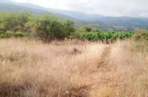 Terreno en Ponferrada