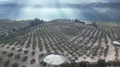 Finca rústica en Andalucia