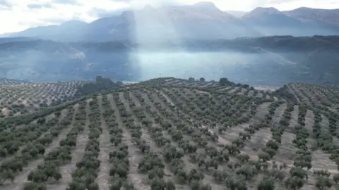 Finca rústica en Andalucia