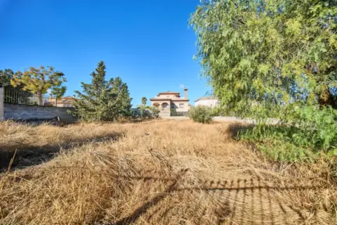 Terreno en calle de la Tórtola, 20